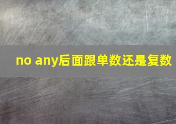 no any后面跟单数还是复数